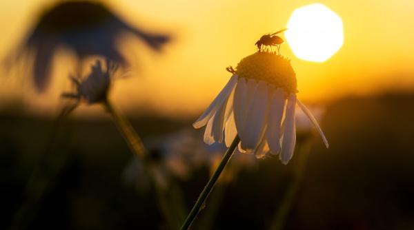 romanii ora de vara 2024 martie cand se da ceasul inainte o ora