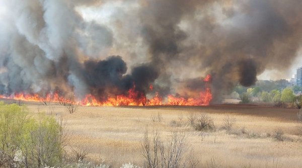 Incendiu puternic în Delta Văcăreşti. Pompierii ISU Bucureşti-Ilfov intervin cu şase autospeciale