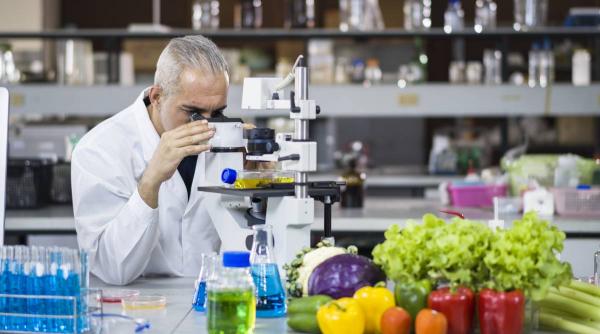 verdeturi pesticide doctor radu tincu pericol