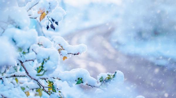 avertizare meteo anm cod galben