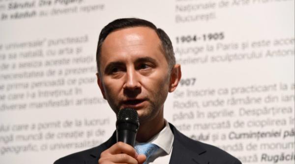 alin nica demis presedinte pnl timis