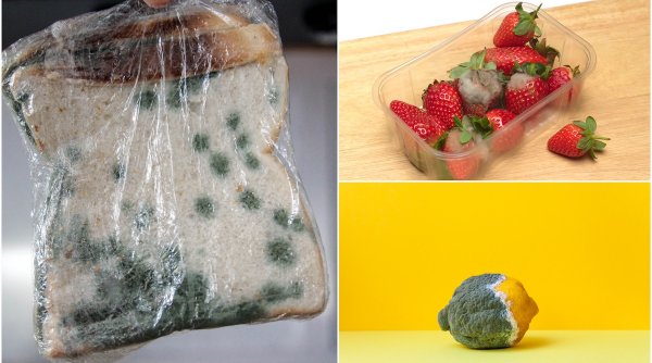 Ce se întâmplă când mănânci pâine sau alte produse mucegăite: ”Așa apar cancerele!”