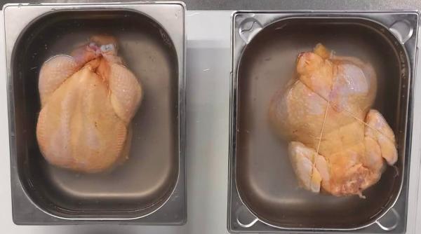 carne pui vopsita hrana oua colorate horia constantinescu