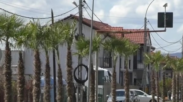 Comuna din România în care primarul a plantat palmieri pe marginea drumului: 