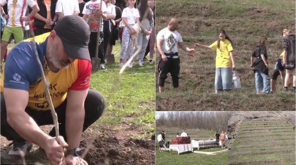 cornel dinicu reface ferma dacilor imagini emotionante copaci