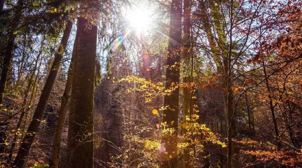 buncar secret construit sinaia acunde aur romania marturii localnici