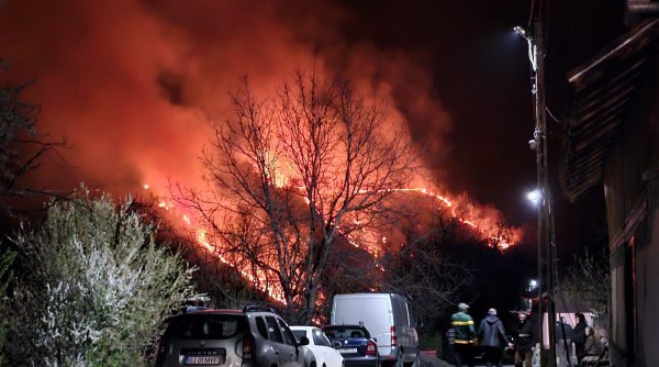 Un incendiu de vegetație uscată s-a extins în pădurile din Novaci, Gorj. Pompierii fac cu greu faţă situației