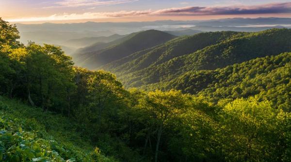motiv grup activisti mediu cumpara suprafete mari teren romania