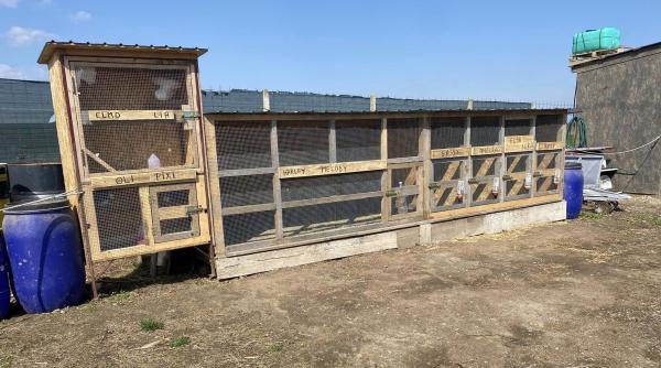 afacere doi romani dat lovitura bacau bucata 80 lei