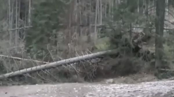 cinci oameni copii ucisi uragan 155 kilometri ora polonia