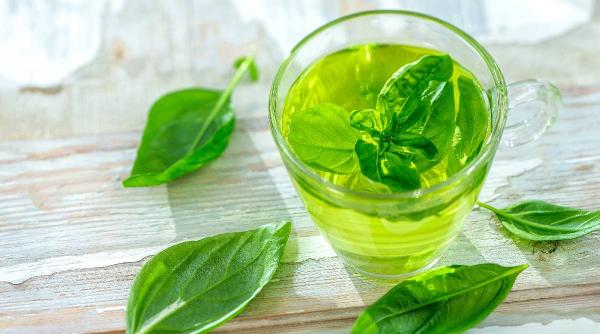 ceai busuioc beneficii sanatate