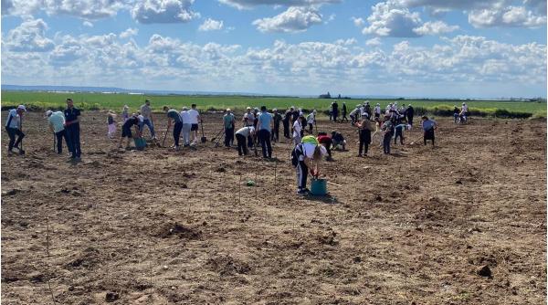 locuitorii care au propria padure