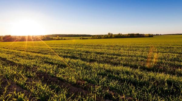 seceta romania productie fermieri romani