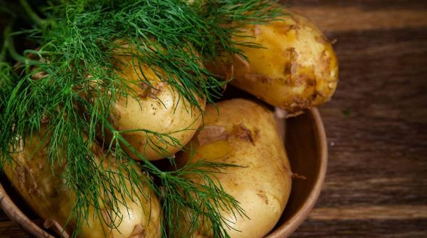 marar beneficii uimitoare sanatate