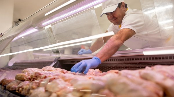 Uniunea Europeană a verificat carnea de pui vândută în România. Peste 2.700 de probe au fost analizate în laborator