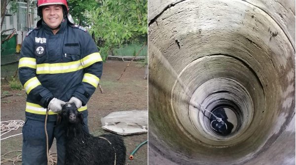 O căpriță căzută într-o fântână adâncă a fost salvată de pompierii din Giurgiu 