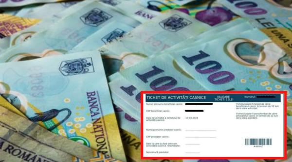 lege guvern compatere munca la negru tichete de activitati casnice