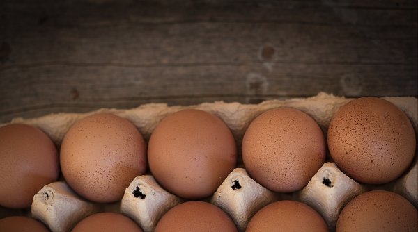 Ouăle brune vor dispărea din magazine. 