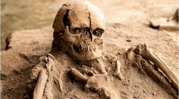 schelete umane descoperite spital vaslui schelete umane descoperite spital vaslui