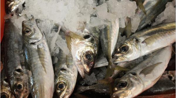 anpc sfaturi consumatori peste florii