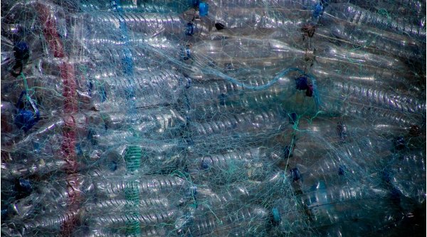 Oamenii de știință au descoperit soluția pentru a eradica deșeurile din plastic | 