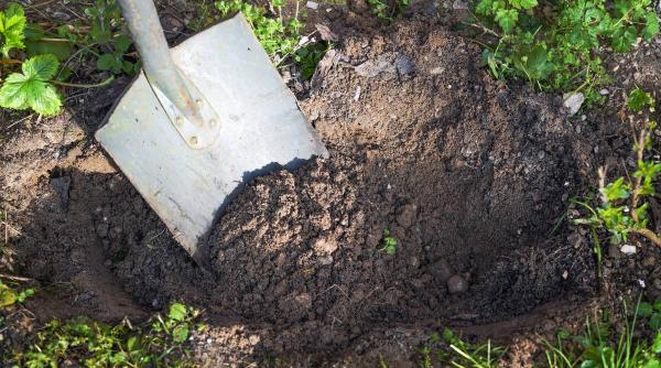 orasul romania primul cimitir ecologic din tara brasov