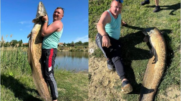 Pește uriaș capturat pe o baltă din vestul României | Are peste doi metri și de patru ani era în atenţia pescarilor