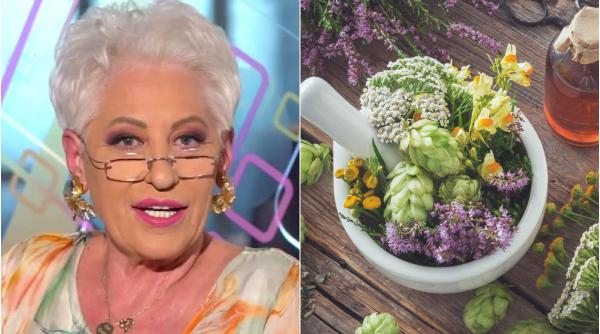 planta ajuta probleme ficat leacul zilei lidia fecioru