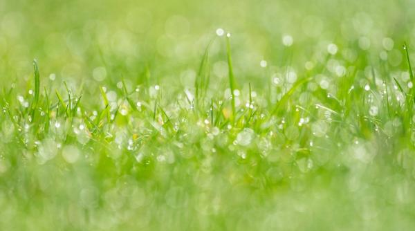 oras primaria transforma balta parc 20 milioane euro exproprieri