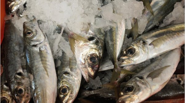 Peste 1,3 tone de pește și preparate din pește au fost retrase de la vânzare de comisarii ANPC