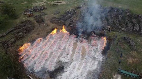 Incendiu puternic la depozitul de lemn al unei fabrici de peleți din județul Mehedinți