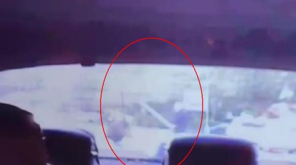 tineri ucis barbat parc crangasi bucuresti filmati loveau victima par