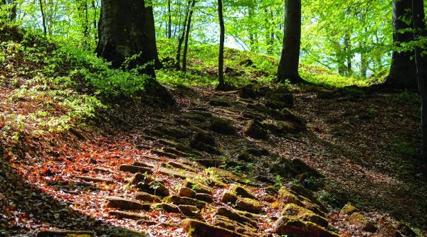 loc romania comoara impresionanta hunedoara piatra rosie