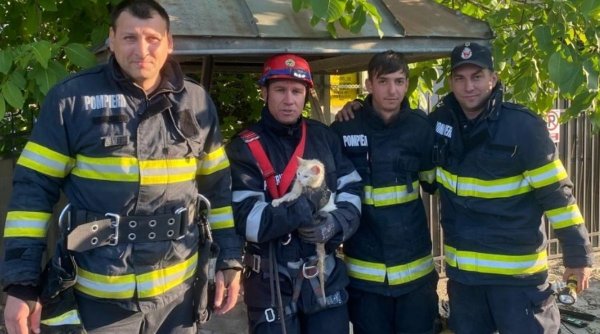 Motanul Felix a fost salvat de pompieri, după ce a căzut într-o fântână adâncă de 10 metri, în Botoșani. Dispăruse de acasă de o lună