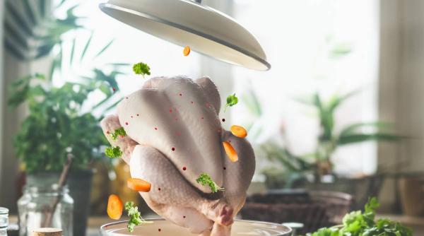 grasime de pui transformata in curent electric descoperire