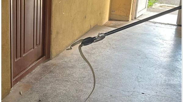 jandarmi targu jiu sapre scara bloc