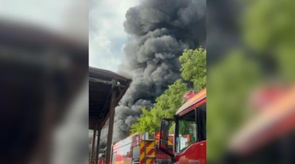 incendiu depozit mase plastice bacau