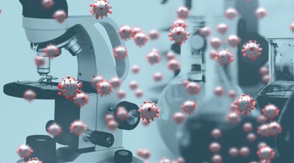 descoperiri efecte termen lung covid 19 probleme sanatate