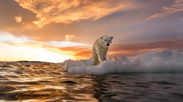 studiu schimbarile climatice si topirea ghetarilor pot conduce modificarea zilei