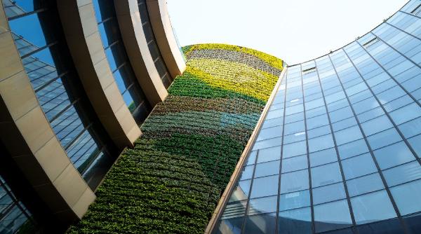 locuintele verzi tot mai preferate de catre romani