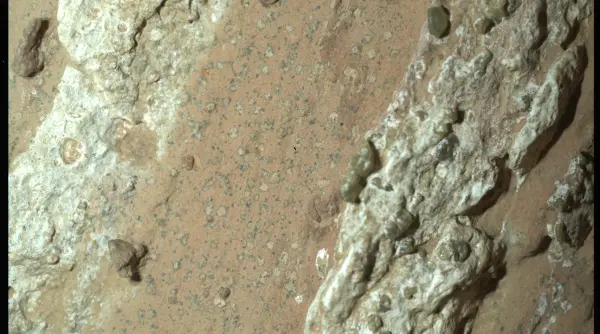 nasa a gasit o roca fascinanta pe marte contine indicii ca ar fi gazduit viata microbiana cu