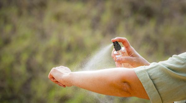 alerta in bucuresti tantarii purtatori ai virusului west nile au fost depistati in 4 sectoare la ce alerta in bucuresti tantarii purtatori ai virusului west nile au fost depistati in 4 sectoare la ce