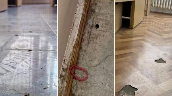 camine studentesti cu gandaci tencuiala cazuta si mobila veche deca si a adus aminte la finalul verii ca nu are bani de renovari