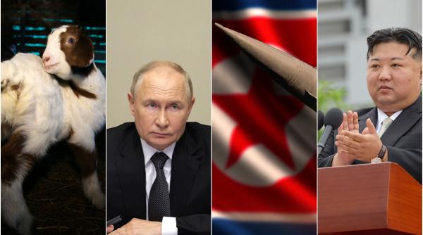 putin si kim jong un afacerea anului capre contra rachete balistice rusia confirma ca a expediat 500 de capete in coreea de nord