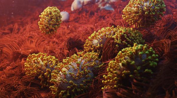 europa e in alerta din cauza virusului mpox ecdc se asteapta ca numarul cazurilor de infectare sa creasca europa e in alerta din cauza virusului mpox ecdc se asteapta ca numarul cazurilor de infectare sa creasca
