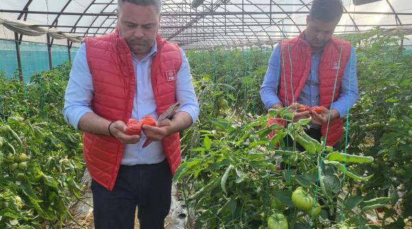 florin barbu securitatea alimentara a romaniei e asigurata chiar daca a fost un an secetos