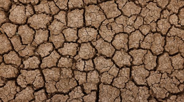 in spania se sta la coada la apa de baut au fost interzise umplerea piscinelor udatul gradinilor si spalatul masinilor