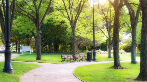 orasul din romania care va avea 13 2 hectare de padure urbana finantata cu fonduri din pnrr anuntul ministrului mediului