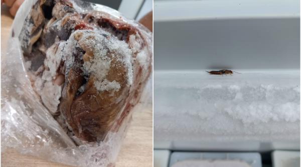 34 de tone de alimente congelate din magazinele din romania nu sunt conforme anpc a retras de la vanzare peste 27 de tone de produse