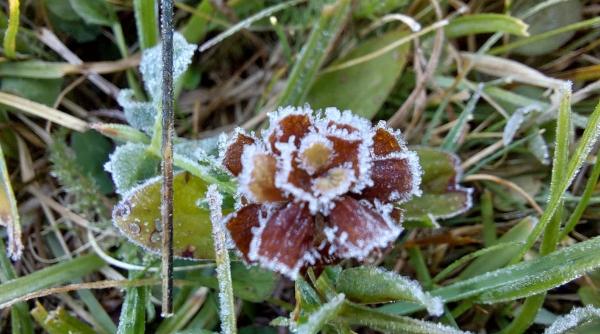 temperaturi de iarna la inceputul toamnei 0 grade celsius resimtite la miercurea ciuc